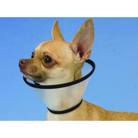 Collar isabelino de PVC translúcido de 25,5 x 10 x 17 cm.