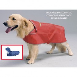 Chubasquero bicolor con visor razas grandes 75 cm.