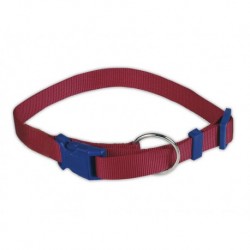 Collar nylon "Mini Euro" rojo de 10 mm.