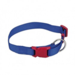Collar nylon "Mini Euro" azul de 10 mm.