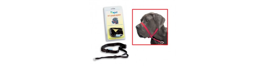 Kit Leader Biopet Mediano