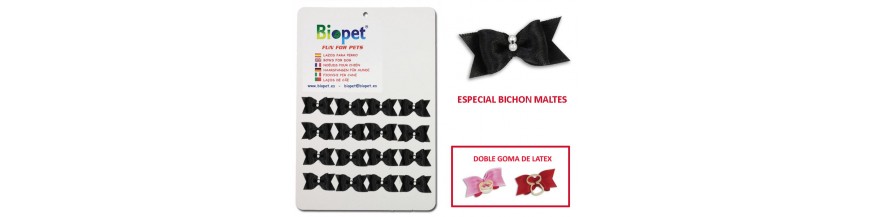 Bichón Maltés