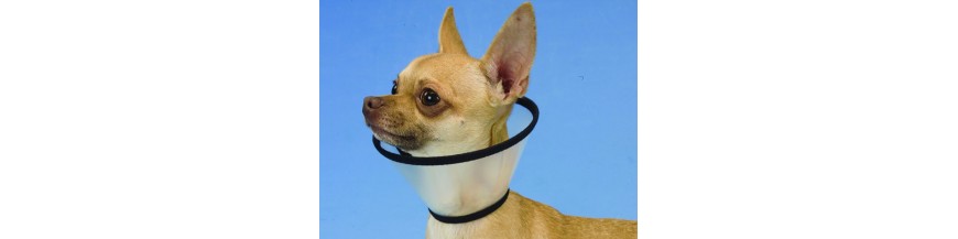 Especial veterinarios