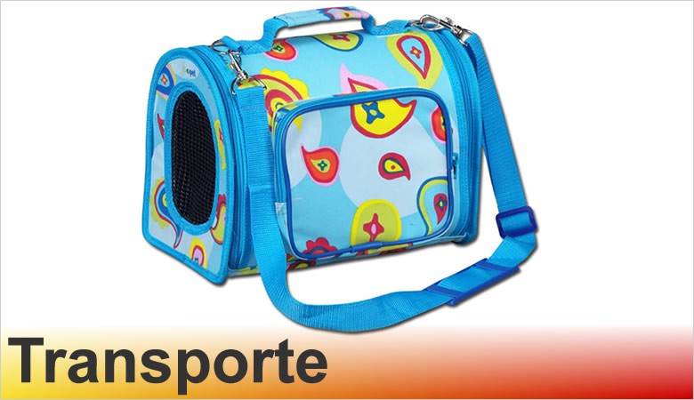 Transporte